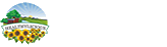 Healthylicious.co.uk