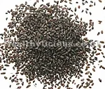CHE QIAN ZI - Plaintain Seed - Psyllium - Semen Plantaginis Herb