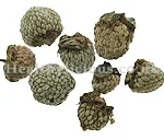 FU PEN ZI  - Raspberry Fruit - Fructus Rubi Herb