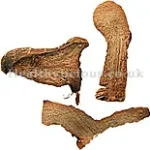 GAO LIANG JIANG – Galangal Root – Rhzoma Alpiniae Officinalium Herb