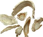 JIE GENG – Balloon-Flower Root (Platycodon Root) – Radix Platycodi Herb