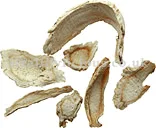 JIE GENG – Balloon-Flower Root (Platycodon Root) – Radix Platycodi Herb