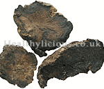SHENG DI HUANG  - Raw Rehmannia Root  - Radix Rehmanniae Herb