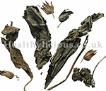 SU ZI - Perilla Seed - Fructus Perillae Herb