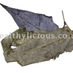YIN YANG HUO  – Epimedium  – Herba Epimedii Herb