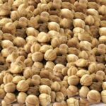 BAI DOU KOU - Round Cardamon Seed - Fructus Amomi Rotundus Herb
