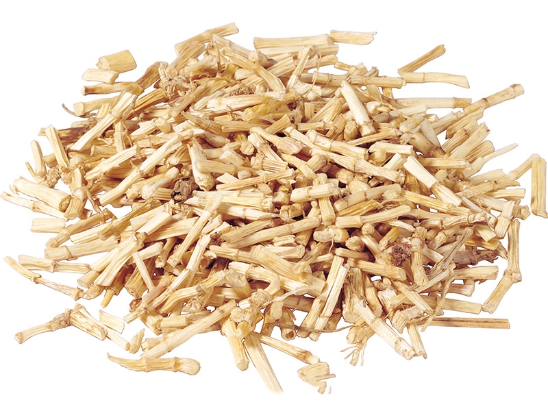 BAI MAO GEN – Woolly Grass Rhizome – Rhizoma Imperatae Herb