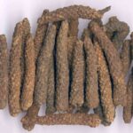 BI BA - Long Pepper Fruit - Fructus Piperis Longi Herb