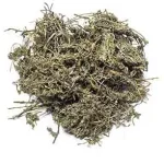 E BU SHI CAO - Centipeda Herb - Herba Centipedae Herb