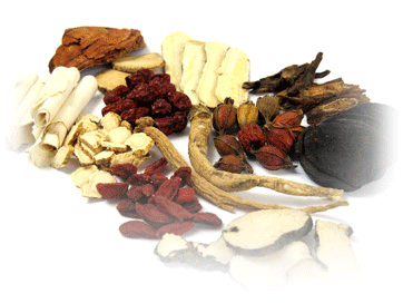 raw_herbs_62 DI YU - Burnet Root - Radix Sanguisorbae Herb - Image 1