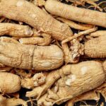 REN SHEN  - Ginseng Root - Radix Ginseng Herb
