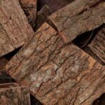 ROU GUI – Cinnamon Bark – Cortex Cinnamomi Herb