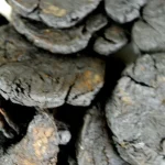 SHU DI HUANG – Prepared Rehmannia Root – Radix Rehmanniae Praeparata Herb